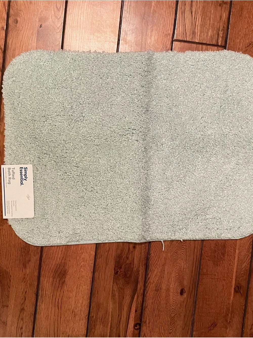 Simply Essential Light Aqua Plush Bath Mat